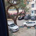 Pine Private 17 Tirana
