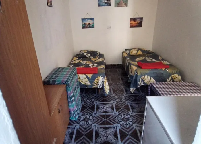 Pine Private 17 * Tirana