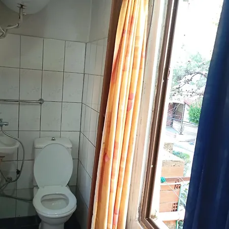 Pine Private 17 * Tirana