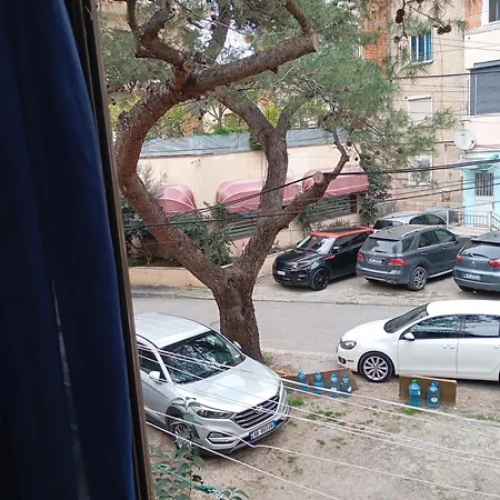 Pine Private 17 Tirana