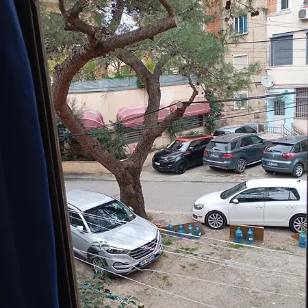 Pine Private 17 Tirana