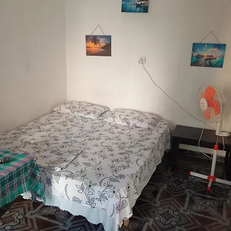 Pine Private 17 Apartment Tirana
