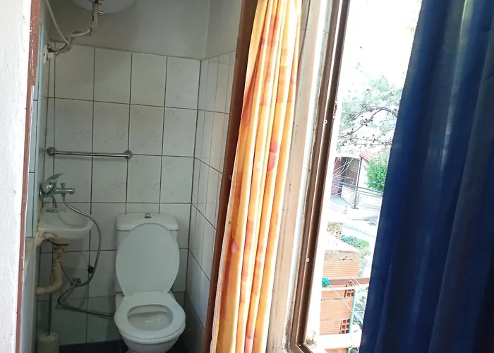 Pine Private 17 * Tirana