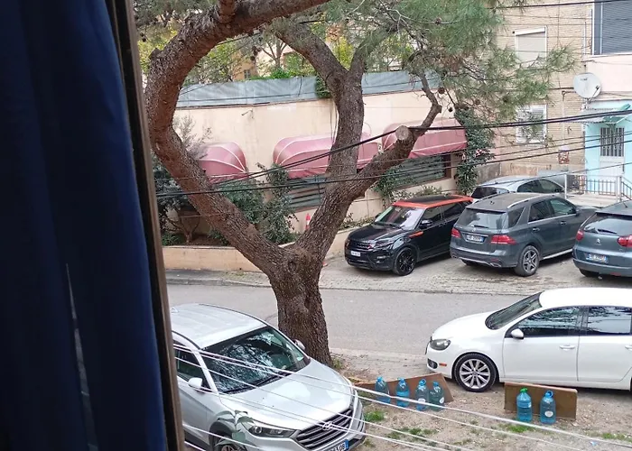 Pine Private 17 Tirana