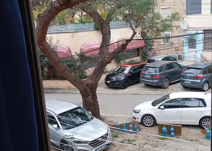 Pine Private 17 Tirana